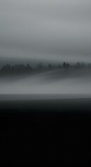 Fototapeta premium Misty landscape atmospheric scene depicting fog and trees against a horizon