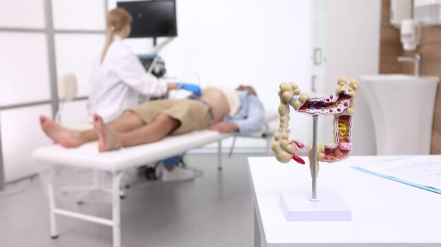 Anatomical intestines model with pathology stands on table. Gastroenterologist doing ultrasound of intestines for male patient