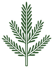 Obraz premium Green fir leaf illustration, botanical vector design