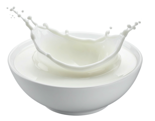 White liquid coronet splashing inside a white bowl against a black background