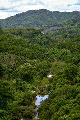 Fototapeta premium A beautiful Lush Green Valley with a sparkling Stream and Majestic Hills in the Background