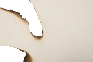 Burnt beige paper texture