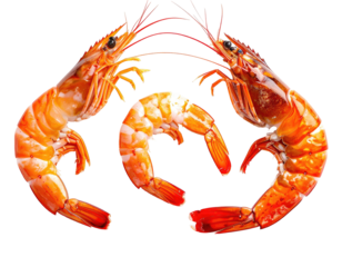 Three cooked shrimp, arranged in a circular pattern, isolated on black