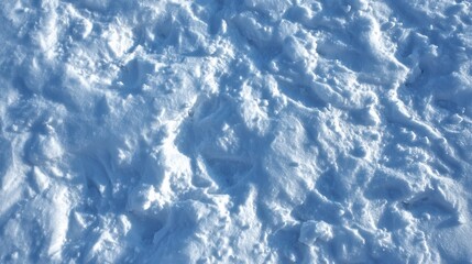 Fototapeta premium Sparkling snow drifts blanket the terrain under a gentle sun illuminating the winter landscape creating a tranquil scene and snowy pattern