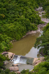 The Scenic Waterfall flows in a Lush Forest, creating a serene retreat for everyone