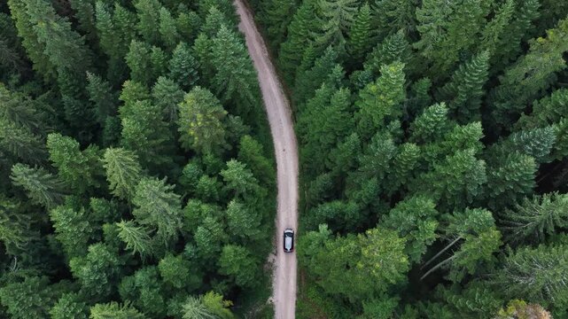 Drone close-up aerial of car on forest dirt track, Bosnia highlands