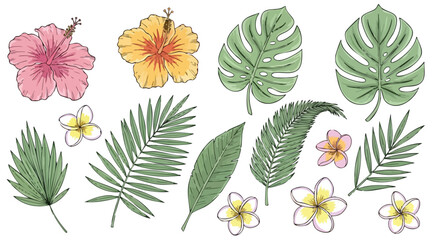 Tropical Foliage and Floral Set Hibiscus, Plumeria, and Palm Leaves