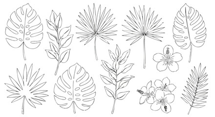 Botanical Illustration of Tropical Leaves and Flowers Line Art © Ahmad