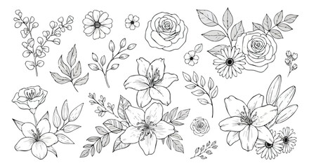 Detailed line art illustration of various flowers and foliage.