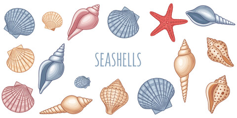 Decorative Seashell & Starfish Clipart Collection — Ocean Beach Themed Vector Illustrations in Various Shapes and Colors for Summer Designs, Packaging, Textile, Scrapbooking, Cards, Stickers