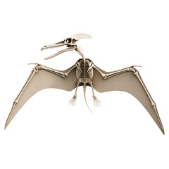 Pterodactyl skeleton with fully extended wings on a black background prehistoric dinosaur