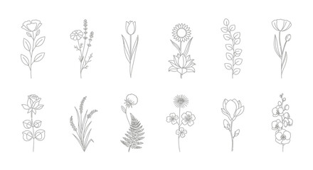 Illustration of two clenched fists, showcasing strength and determination, isolated.