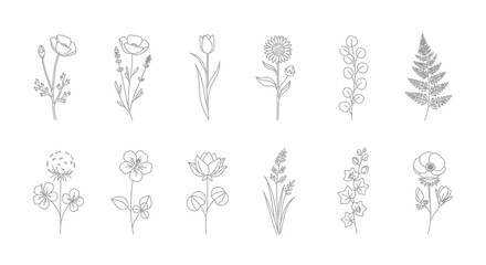Line art illustrations of various flowers and plants, arranged in two rows on a white background.