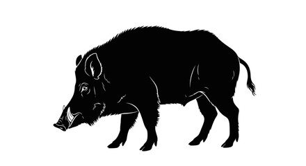 A stark black silhouette of a wild boar standing against a white background.