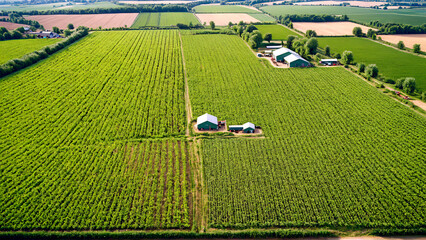 Vibrant green agricultural fields stretch towards the horizon, featuring modern farm buildings and...