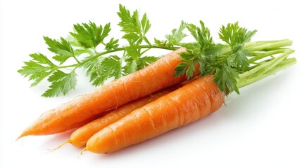 Three fresh carrot vegetables with green leaves. Healthy eating and cooking ingredient for recipe. Raw food for diet.