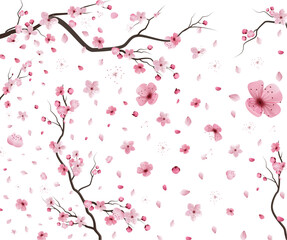 Vector illustration of falling cherry blossoms, sakura flowers