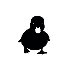 Adorable fluffy duckling silhouette stands out against a white background.