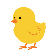 Adorable fluffy yellow chick standing proudly with orange beak and feet.