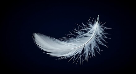Elegant white feather floating against dark background conceptual design