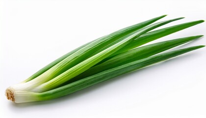 Fresh Green Onion Leaf Isolated On White Background