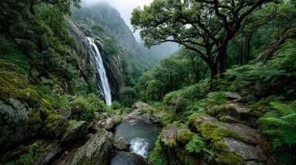 A cascading waterfall flows down rocky cliffs surrounded by lush green trees and foliage under overcast skies,