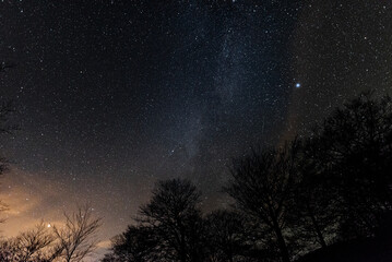 Night sky full of stars with the Milky Way above dark trees, creating a peaceful and inspiring celestial view. Starry night sky with Milky Way and silhouetted trees glowing under orange and blue hues.