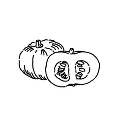 Hand Drawn Pumpkin – Monochrome Line Illustration