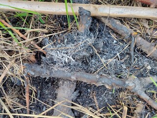 background of the remains of a burning campfire at night