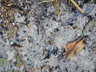background of the remains of a burning campfire at night