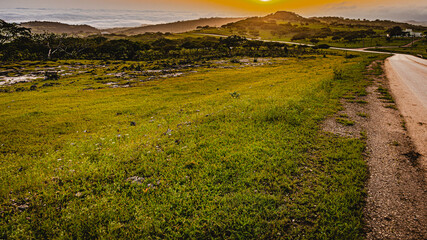 green in the midst of middle east 