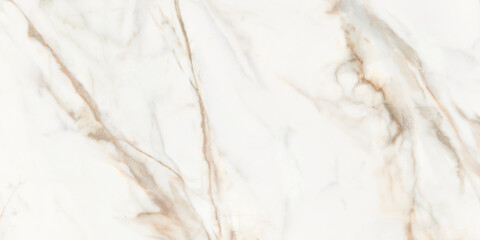 Scanned texture of Calacatta marble texture. Background for ceramic tiles and for creativity.
