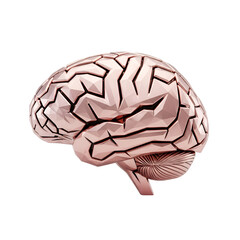 Abstract rose gold geometric brain isolated on transparent background