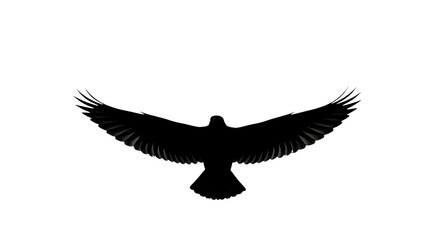 Naklejka premium Silhouette of a majestic eagle spreading its wings isolated PNG with Transparent Background