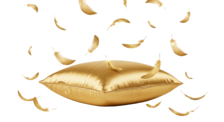 Golden pillow with falling feathers isolated PNG with Transparent Background