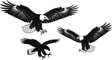 PrintEagle illustration, flying eagle, black and white eagle art, majestic bird, raptor drawing, wildlife s