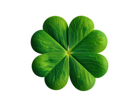 Vibrant four-leaf clover isolated on black background, symbolizing luck - Powered by Adobe