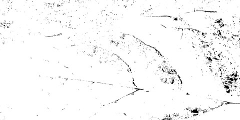 Vector splatter paint grunge black ink on white abstract background. 