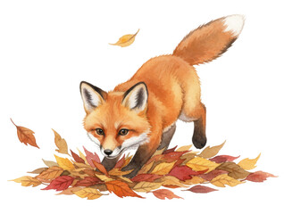 Fototapeta premium a cute red fox is walking through autumn leaves, a watercolour illustration 
