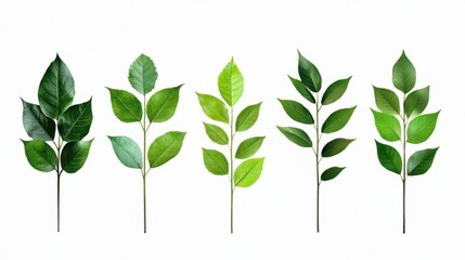 Simple tree icon collection with multiple green variations on a clear white background for eco-friendly branding