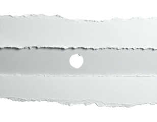 Torn paper strips, central hole on a white background, with black periphery