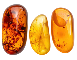 Three polished amber stones, showcasing preserved insects and plant matter