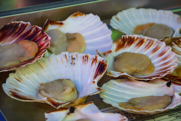 Fresh raw scallops for sale in the fish market