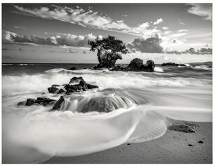 Black and white seascape featuring a wave-swept, rocky outcrop and tree under a cloudy sky