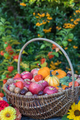 Korb mit Äpfeln, Kürbissen und Nüssen und Physalis