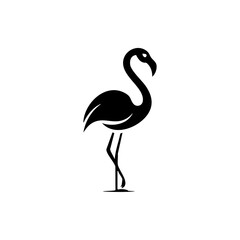 Silhouette of a flamingo standing gracefully on one leg, representing exotic birds, elegance, and tropical nature.
