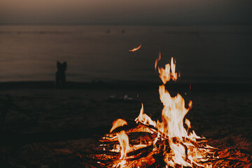 Campfire on the beach at dusk with a dog silhouette in the distance. A warm campfire burns brightly on a sandy beach as dusk over the ocean. Fire place on the sea coast at night. Travel with a doggy.
