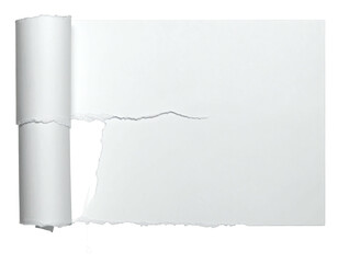 A partially rolled piece of white paper with a torn edge, isolated