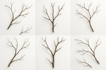 Fototapeta premium Artistic Arrangement: a set of six individual natural twig branches artfully arranged on a light background, inviting contemplation of texture and form, emphasizing the inherent beauty of simplicity.