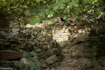 ruins of the old castle